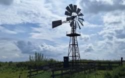 Nationale Molen- en Gemalendag 9 & 10 mei 2026
